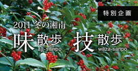 特別企画2011冬の湘南「味散歩技散歩」