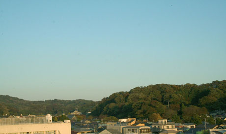 現在の鶴岡八幡宮裏山。大木が増え、山はほとんど木の緑で覆われている。グーグル・アー
スで見ると確かに島のように見える