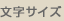 ʸ