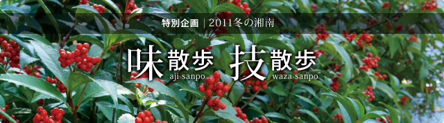 味散歩技散歩